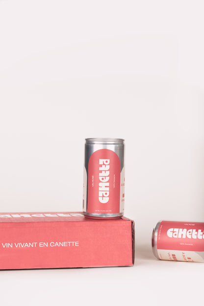 SAC KABAS + 4 CANETTES DE ROSÉ